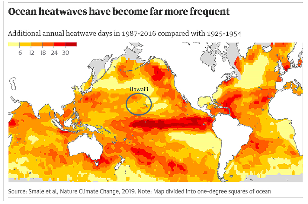 Global Ocean Heating Graph