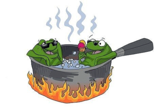 Frogs Boiling