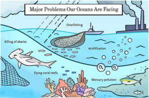 Global Overfishing