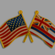 American Hawaiian Flags