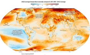 Global Warming Map 2022 1