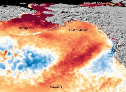 Ocean Heating Sat View
