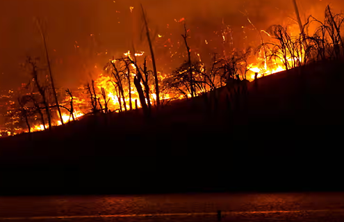 Lahaina Fire View