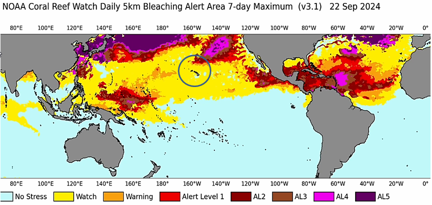 More than 80% of the world’s reefs hit by bleaching - BeyondKONA