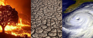 Global Impacts Today